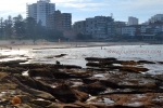19 - Cronulla New South Wales