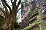 10 - Lions Head Mountain, Miaoli
