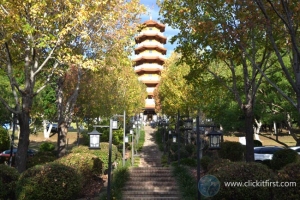 Nan Tien Temple, Wollongong
