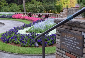 The Royal Botanic Garden Sydney : Gallery 2