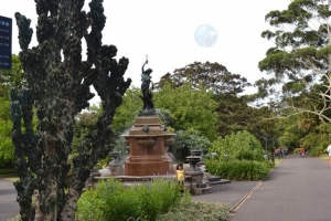 The Royal Botanic Garden Sydney: Gallery 1