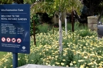 1 The Royal Botanic Garden Sydney