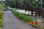 3 The Royal Botanic Garden Sydney