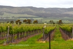 12 Yankalilla, South Australia, Photo Gallery