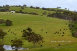 13 Yankalilla, South Australia, Photo Gallery