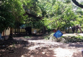 Anakotta - Guruvayoor Elephant Sanctuary
