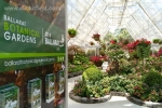 12 Ballarat Botanical Gardens