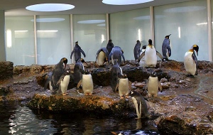 Basel Zoo , Switzerland
