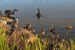 29 - Caroline Springs Photo Gallery