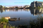 7 - Caroline Springs Photo Gallery