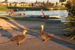 8 - Caroline Springs Photo Gallery