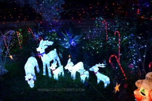 Christmas Lights 2016 : South Sydney