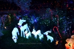 14 - Christmas light displays from Kogarah, Hurstville, South Sydney, New South Wales