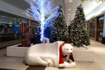 23 Christmas Night Caroline Springs