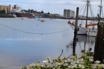 18 Devonport Tasmania Photos