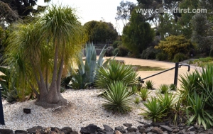 Geelong Botanic Gardens