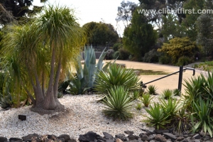 Geelong Botanic Gardens
