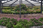 13 Geelong Botanic Gardens