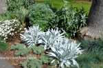 19 Geelong Botanic Gardens