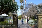 2 Geelong Botanic Gardens