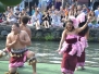 Hawaii Culture