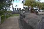 3 Hawaii US Photos