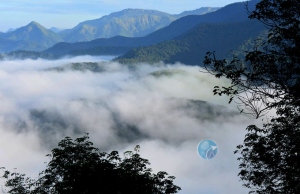 Thekkady, Idukki 