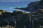 23 - Jervis Bay, NSW