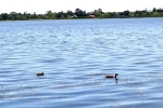 21 Photos of Lake Wendouree, Ballarat