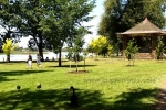 22 Photos of Lake Wendouree, Ballarat