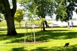24 Photos of Lake Wendouree, Ballarat