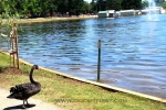 4 Photos of Lake Wendouree, Ballarat
