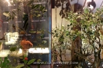 14 Lanyang Museum, Taiwan
