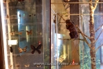 16 Lanyang Museum, Taiwan