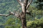 12 Meghamalai, Tamil Nadu Photo Gallery