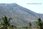 13 Meghamalai, Tamil Nadu Photo Gallery