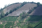 19 Meghamalai, Tamil Nadu Photo Gallery