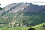 20 Meghamalai, Tamil Nadu Photo Gallery