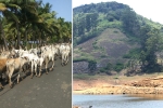 21 Meghamalai, Tamil Nadu Photo Gallery