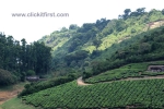 3 Meghamalai, Tamil Nadu Photo Gallery