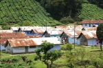 30 Meghamalai, Tamil Nadu Photo Gallery