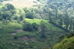 38 Meghamalai, Tamil Nadu Photo Gallery