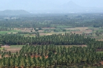 7 Meghamalai, Tamil Nadu Photo Gallery