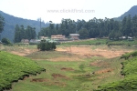 9 Meghamalai, Tamil Nadu Photo Gallery