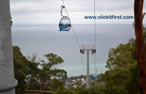 Mornington Peninsula