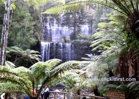 Mount Field National Park