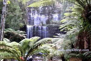 Mount Field National Park