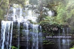 14 Mount Field National Park, Tasmania Photo Gallery