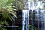 16 Mount Field National Park, Tasmania Photo Gallery