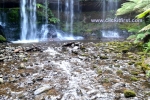 17 Mount Field National Park, Tasmania Photo Gallery